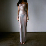 Fashion Spicy Girl Sexy Perspective Mesh Hot Silver Slim Fit Slim Dress