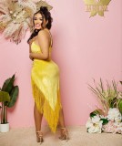 Fashion Irregular Tassel Solid Color Dress