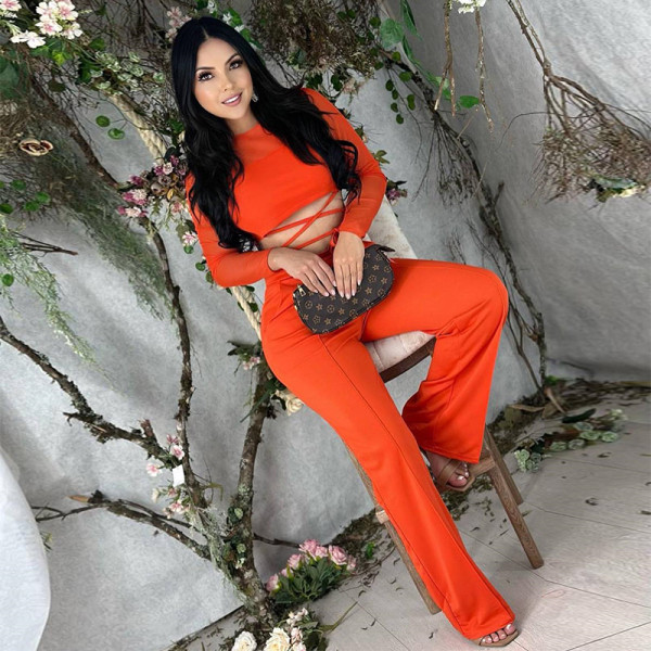 Sweet Mesh Long Sleeve Top High Waist Straight Trousers Fashion Casual Set