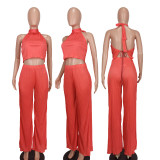 Sexy Fashion Open Back Split Two Piece Set