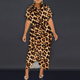 Sexy Slim Fit Colorful Dress Nightclub Dress