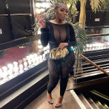 Fashion Perspective Cutout Sexy Butterfly Long Sleeve One Piece Pants