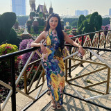 Casual printed sleeveless slim fitting backless mesh hanging neck long dress