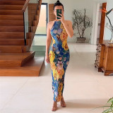 Casual printed sleeveless slim fitting backless mesh hanging neck long dress