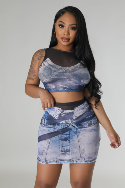 Fashion and Sexy Mesh Printing Two Piece Set