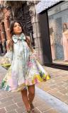 Women's lantern sleeves with large swing, positioning printing, waist closing, slimming long sleeved dress with large swing skirt