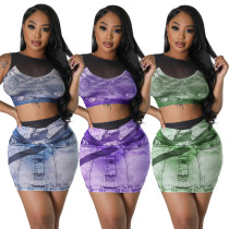 Fashion and Sexy Mesh Printing Two Piece Set Fashion and Sexy Mesh Printing Two Piece Set