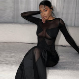 Fashionable and Sexy Mesh Perspective Slim Fit Round Neck Long Sleeve Dress