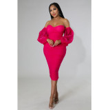 Women's tight fitting mesh pleated long sleeved solid color dress