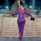 Printed mesh T-shirt top loose pants casual set