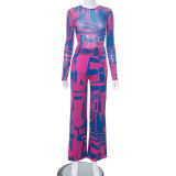 Printed mesh T-shirt top loose pants casual set