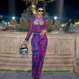 Printed mesh T-shirt top loose pants casual set