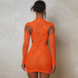 Fashion Mesh Sexy Hollow Out Perspective Round Neck Slim Fit Dress
