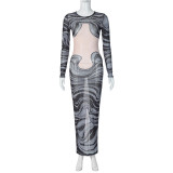 Fashionable and Sexy Mesh Perspective Split Round Neck Dress