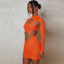 Fashion Mesh Sexy Hollow Out Perspective Round Neck Slim Fit Dress Fashion Mesh Sexy Hollow Out Perspective Round Neck Slim Fit Dress