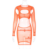 Fashion Mesh Sexy Hollow Out Perspective Round Neck Slim Fit Dress