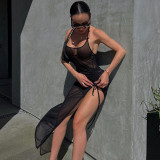 Mesh Sexy Perspective Split Fit Dress
