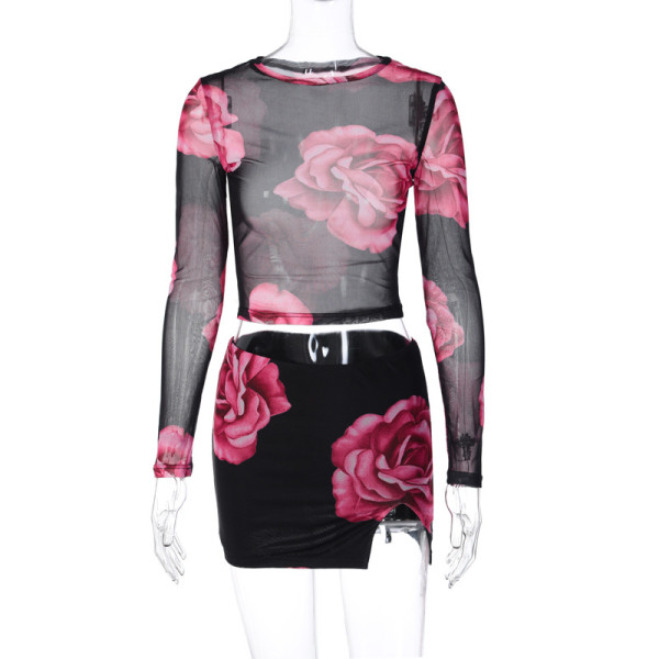Two Piece Sexy Mesh Long Sleeve Top Slim Fit Short Split Printed Skirt Set