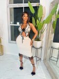 Sexy Women's Handmade Hooked Butterfly Top Knitted Tassel Skirt Fashion Set
