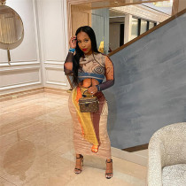 Fashionable 3D mesh printed round neck long sleeved slim fitting long skirt set