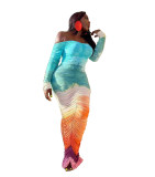 Mesh printed dress
