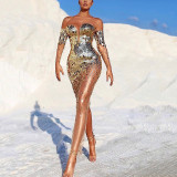 Sequin One Shoulder Sexy Mesh Perspective Long Evening Dress