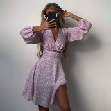 Fashionable Long Sleeve V-Neck Careful Machine Dress Printed Slim French Dress