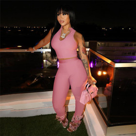 Women's casual sexy sleeveless Crop top high waist hip lifting trousers suit