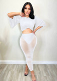 Pleated buttocks wrapped mesh sexy slim fitting long skirt two-piece set
