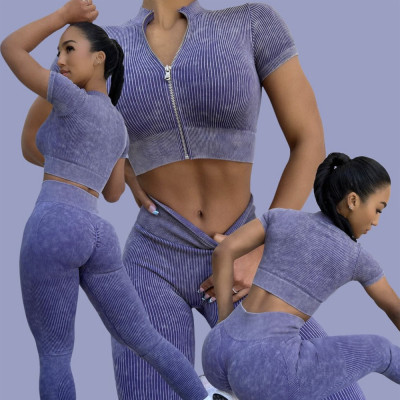 Sandwash Seamless Yoga Set Sports Bra Yoga Tank Top Short Sleeve Fitness Suit Hip Lift High Waist Yoga Pants Set