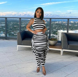 Black and white striped pleated skirt skirt two-piece set