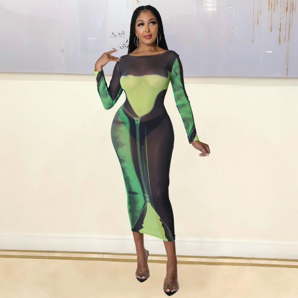 Fashionable and sexy mesh printed long sleeved medium length women's dress