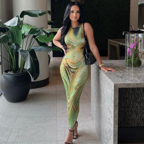 Printed Slim Fit Sleeveless Dress