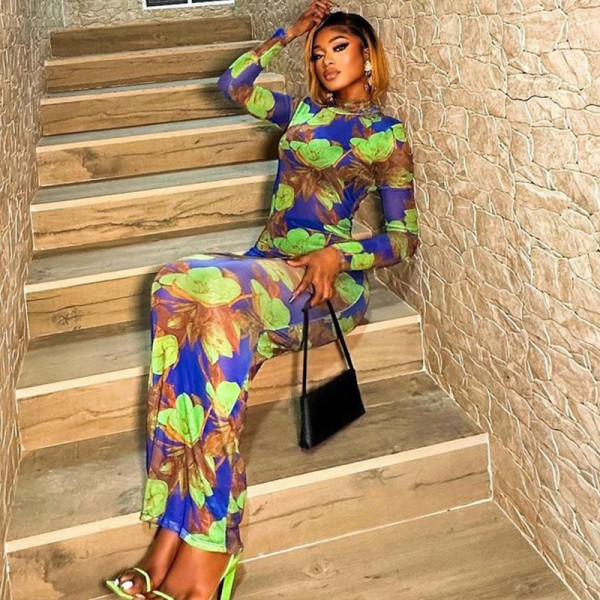 Fashionable printed round neck, long sleeved buttocks, artistic retro pullover, slim fitting, versatile casual dress
