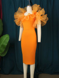 Mesh Splice Dress Slim Fit Banquet Ball Evening Dress