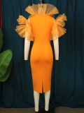 Mesh Splice Dress Slim Fit Banquet Ball Evening Dress