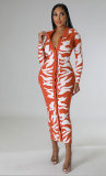 Temperament Women's Long Sleeve Dress Autumn New Printed Skirt