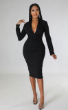Dress French long sleeved small skirt