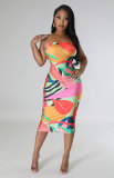 Women's dress Sleeveless French floral dress High grade printed skirt