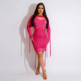 Women's Fashion Solid Color Sexy Hollow out Long Sleeve Round Neck Slim Fit Dress