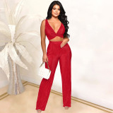 women's fashion hit sexy two-piece set