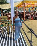 2023 One Shoulder Slim Beach Resort Sexy Long Dress Knitted Hollow out Long Dress Cover Up Summer Girl