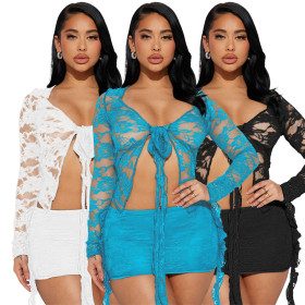 Elastic Lace V-Neck Lace Up Perspective Sexy Short Skirt Set of Two