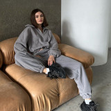 Versatile suede top with warm zipper lapel and drawstring short hoodie