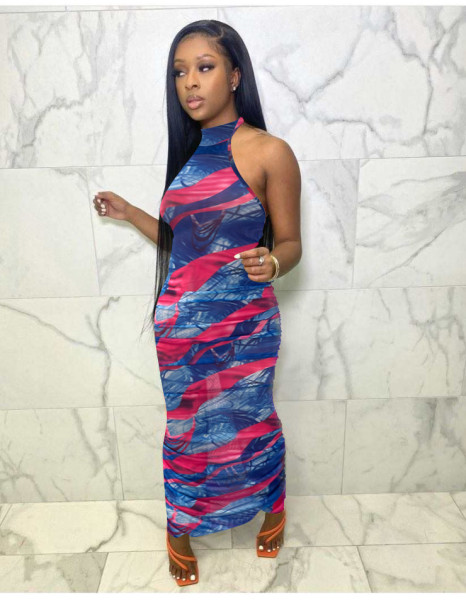 Mesh pleated printed dress
