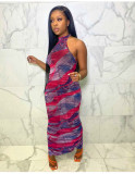 Mesh pleated printed dress