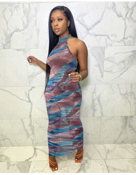 Mesh pleated printed dress