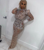 High end rhinestone mesh stretch sexy slim fitting dress