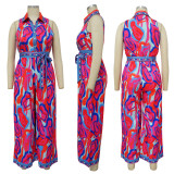 Printed sleeveless V-neck wide leg jumpsuit