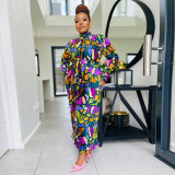 Printed long sleeved pleated dress